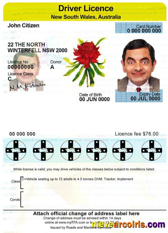 Australia New South Wales driver license